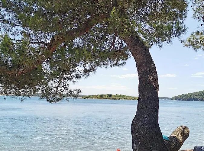 Apartment Melli Pula